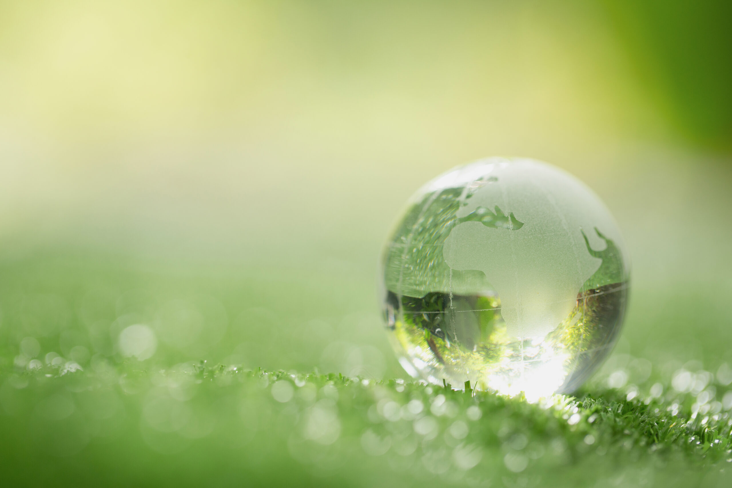 Crystal globe resting on green grass in a forest, symbolizing ISE ECO GREEN's mission for sustainability and environmental responsibility